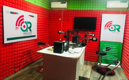 The Role Of The Media In Nigerian Politics