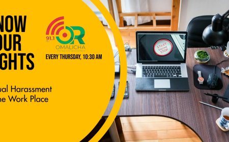 Sexual Harassment In The Workplace