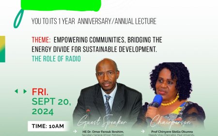 Energy, key to meeting human needs – Omar Farouk Ibrahim