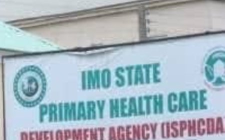 The State of Primary Healthcare System in Imo State