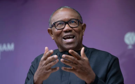 Peter Obi’s Exit from the ADC Signals Strategic Re-calibration