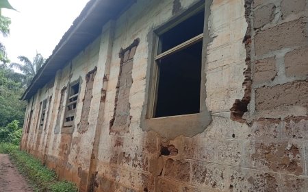 From Seven Pupils to 182: The Teacher Who Refused to Let a Community School Die