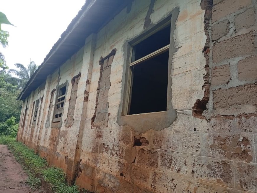 From Seven Pupils to 182: The Teacher Who Refused to Let a Community School Die